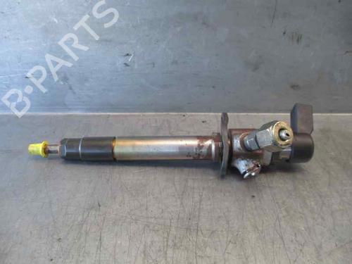 Injector LAND ROVER RANGE ROVER SPORT I (L320) 2.7 D 4x4 | BP6875083M100 