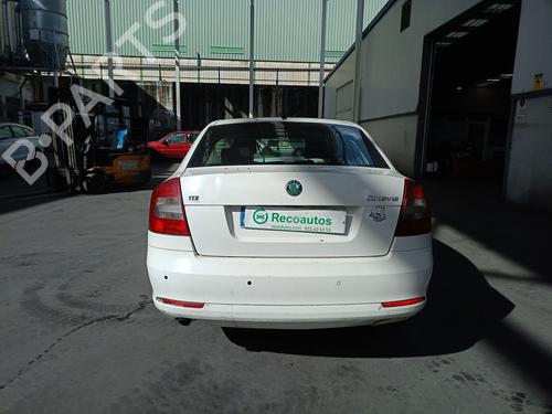 Engine SKODA OCTAVIA II (1Z3) 1.6 TDI | BP32733038M1  - Image 16