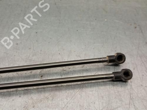 Hood lift support LAND ROVER RANGE ROVER SPORT I (L320) 3.0 D 4x4 | BP25244406C139 