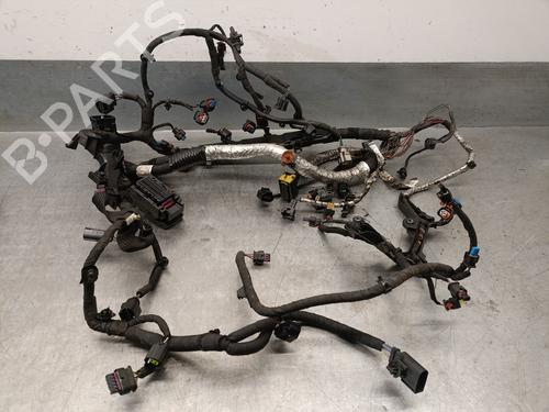 BP30145264E12 main image