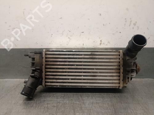Used Intercooler FORD PUMA (J2K, CF7) 1.0 EcoBoost (125 hp) 29807021