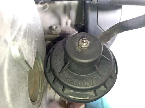 Engine SEAT IBIZA III (6L1) 1.9 SDI | BP32669413M1  - Image 13
