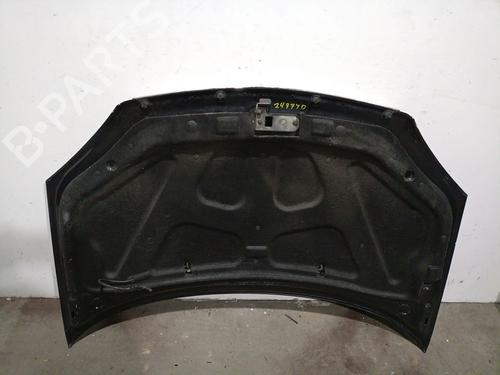 Hood TATA INDICA 1.4 | BP32397888C1