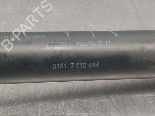 Hinge/Door check strap BMW 7 (E65, E66, E67) 730 Ld | BP22728548C146 