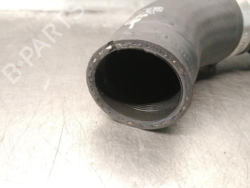 Pipe AUDI Q3 (F3B) 35 TDI | BP29505949M125 