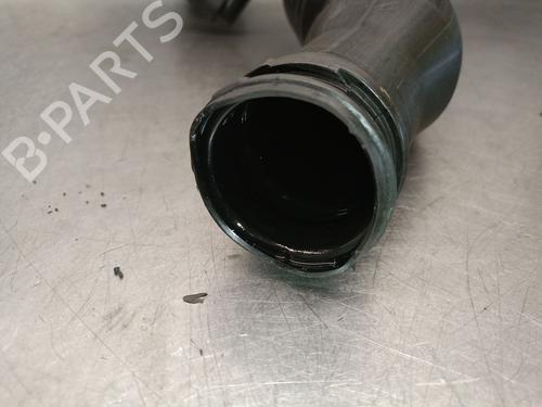 Pipe RENAULT LAGUNA II (BG0/1_) 1.9 dCi (BG08, BG0G) | BP29613888M125 