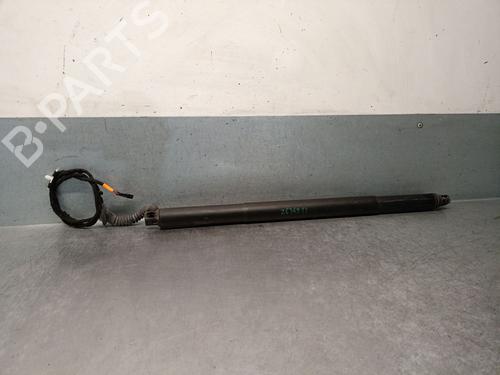 Used Tailgate lift support Tailgate lift support BMW X4 (F26) xDrive 20 d (190 hp) 40038764 40038764