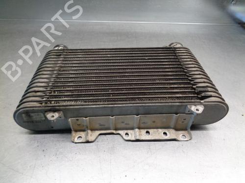 Intercooler HYUNDAI TERRACAN (HP) 2.5 TD | BP8915017M30 
