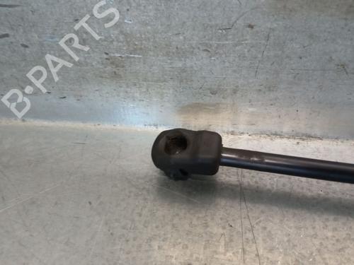 Hood lift support VW TOUAREG (7P5, 7P6) 3.0 V6 TDI | BP28167849C139 