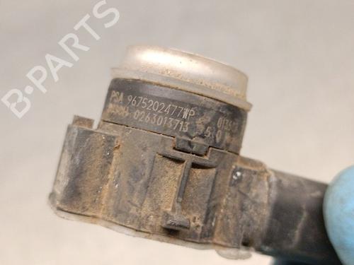 Electronic module PEUGEOT 308 SW II (LC_, LJ_, LR_, LX_, L4_) 1.5 BlueHDi 130 | BP25381648M83 