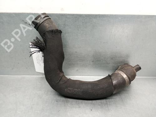 Tuyau AUDI A6 C6 (4F2) 3.0 TDI quattro | BP29870117M125 