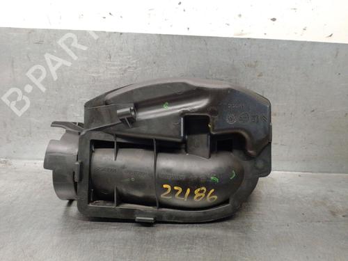 Used Pipe Pipe PEUGEOT 207 SW (WK_) 1.4 16V (95 hp) 33263438 33263438