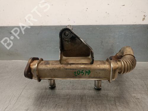 Used Egr NISSAN PATHFINDER III (R51) 2.5 dCi (174 hp) 29866624