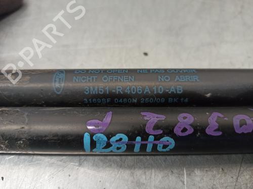 Tailgate lift support FORD FOCUS C-MAX (DM2) 1.6 | BP17896431C138 