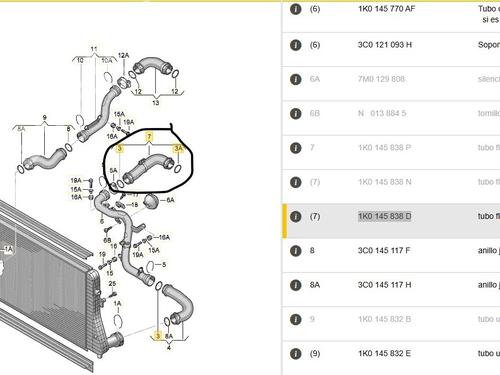 Pipe SKODA OCTAVIA II (1Z3) 2.0 TDI 16V | BP30553955M125