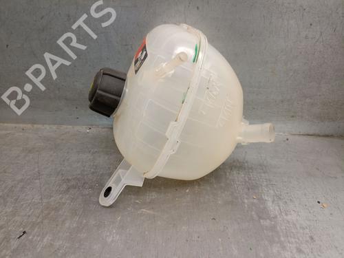 Expansion tank RENAULT AUSTRAL TCe 130 (HGM2) | BP23208935C120 