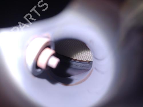 Catalyst DACIA SANDERO III 1.0 TCe 90 | BP29755097M10