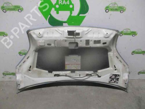 Hood FIAT FIORINO Box Body/MPV (225_) 1.3 D Multijet (225BXD1A, 225BXB1A, 225BXB11) | BP3454627C1 