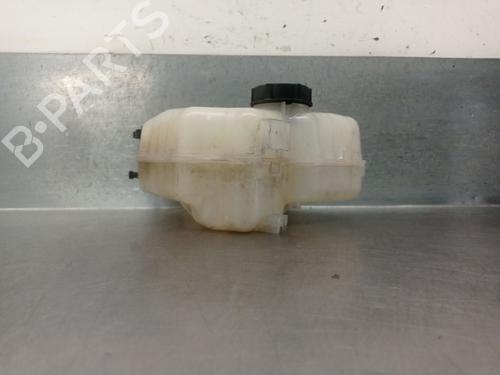 Used Expansion tank FORD FIESTA VI (CB1, CCN) 1.25 (82 hp) 26007504
