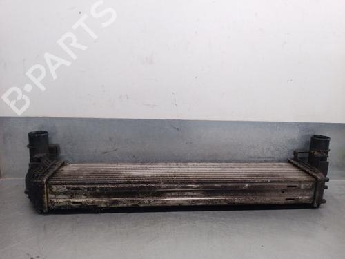 Intercooler RENAULT VEL SATIS (BJ0_) 2.0 dCi (BJ03, BJ0B) | BP32470916M30