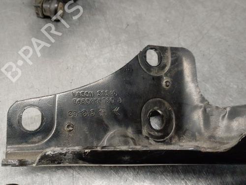 Hinge/Door check strap CITROËN BERLINGO MULTISPACE (B9) 1.6 HDi 115 | BP33290754C146 - Image 3