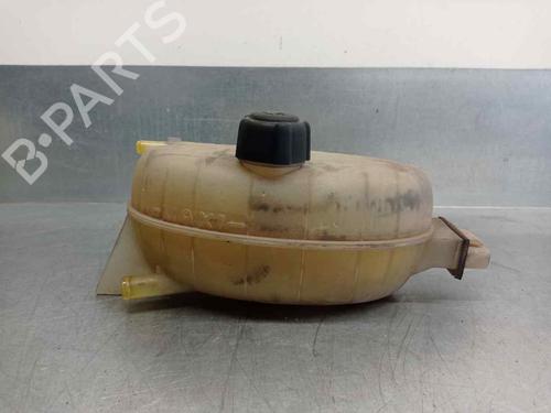 Expansion tank NISSAN PRIMASTAR Van (X83) 1.9 dCi 80 | BP11938527C120 