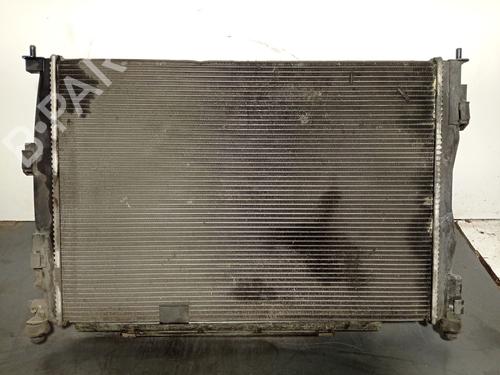 Used Water radiator NISSAN QASHQAI I (J10, NJ10) 2.0 dCi (150 hp) 29190022