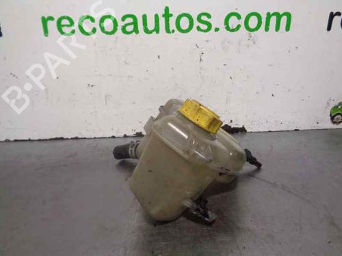Expansion tank RENAULT KANGOO (KC0/1_) 1.5 dCi | BP5070525C120 
