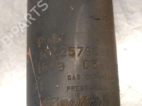 Right rear shock absorber FIAT DUCATO Van (250_) 140 Natural Power | BP30098182M19 