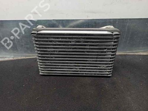 Air conditioning evaporator FIAT DOBLO Cargo (263_) 1.3 D Multijet | BP11668396M109 