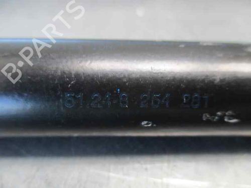 Tailgate lift support BMW 3 (E46) 320 d | BP20247562C138 