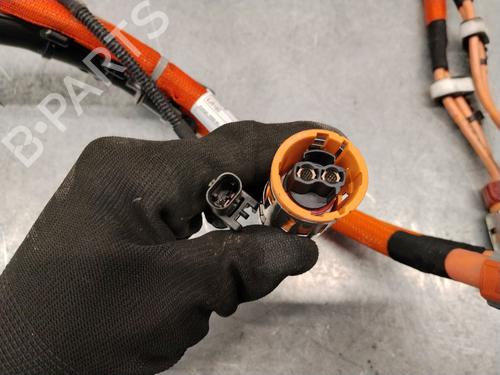 Cable BMW X3 (G01, F97, G08) xDrive 20 d Mild-Hybrid | BP35946239E12 - Image 5