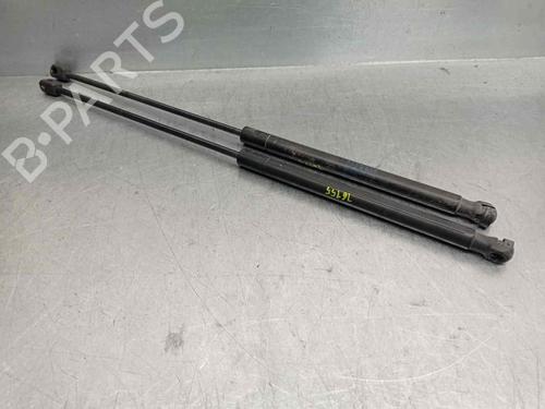 Tailgate lift support CITROËN C4 Coupe (LA_) 1.6 HDi | BP20263954C138 