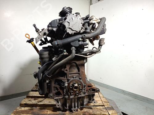 Engine VW GOLF PLUS V (5M1, 521) 1.9 TDI | BP33557264M1 - Image 4