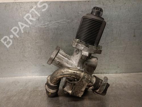 Egr FIAT DOBLO Cargo (263_) 1.3 D Multijet | BP31921207M69