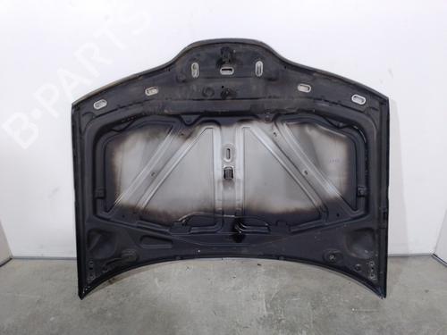 Hood RENAULT LAGUNA II Grandtour (KG0/1_) 1.9 dCi (KG0G) | BP12603561C1 
