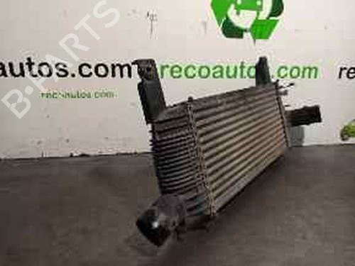Intercooler NISSAN PATHFINDER III (R51) 2.5 dCi | BP5257438M30 