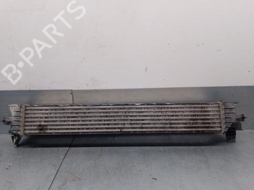 Intercooler CITROËN JUMPER II Van 2.2 HDi 130 | BP29324964M30 