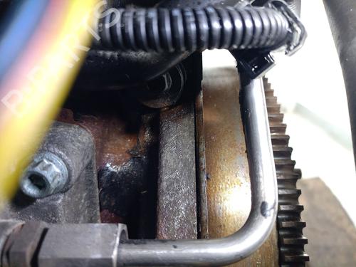 Motor VW POLO (6N2) 1.4 TDI | BP31646897M1 