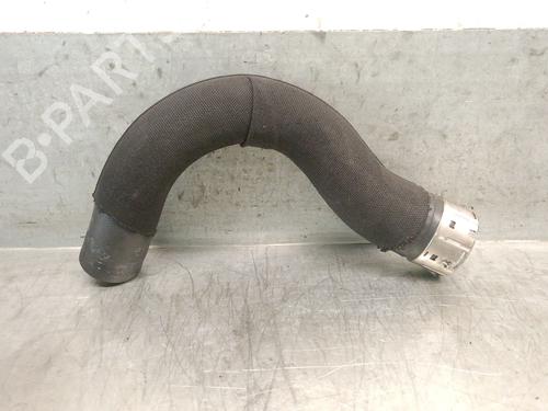 Pipe DACIA SANDERO III 1.0 TCe 90 | BP28541555M125 