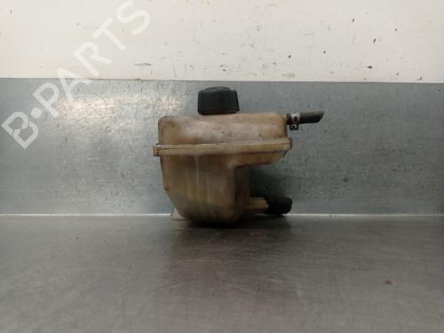 Expansion tank NISSAN QASHQAI / QASHQAI +2 I (J10, NJ10, JJ10E) 2.0 | BP26010228C120 