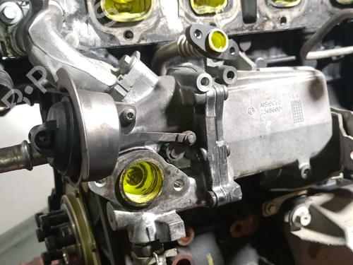 Engine RENAULT TRAFIC III Van (FG_) 1.6 dCi 120 (FGMB, FGMC) | BP35901192M1 - Image 9