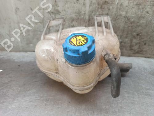 Used Expansion tank FIAT GRANDE PUNTO (199_) 1.2 (65 hp) 8059833
