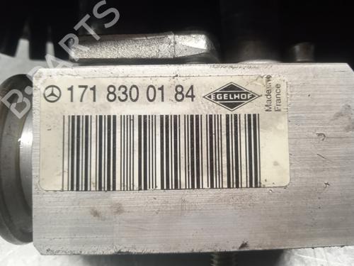 Air conditioning evaporator MERCEDES-BENZ SLK (R171) 200 Kompressor (171.445) | BP11669749M109 