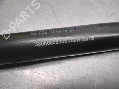 Hood lift support VW TOUAREG (7LA, 7L6, 7L7) 5.0 V10 TDI | BP20266719C139 