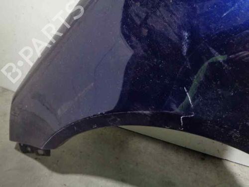 Left front fenders SEAT ALHAMBRA (7V8, 7V9)  | BP8076900C41 