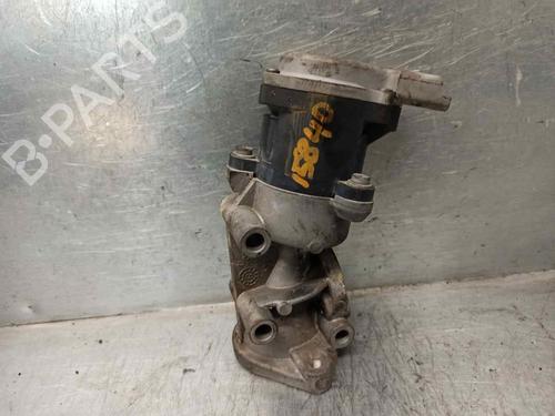 Egr LAND ROVER DISCOVERY III (L319)  | BP10288020M69 