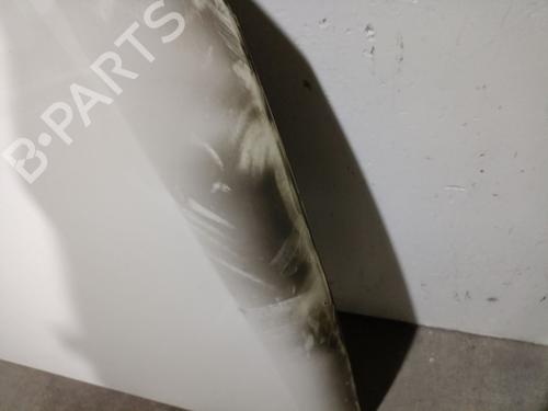 Hood SEAT IBIZA IV SC (6J1, 6P5) 1.9 TDI | BP32372676C1