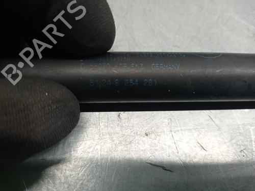 Tailgate lift support BMW 3 (E46) 318 i | BP20263758C138 