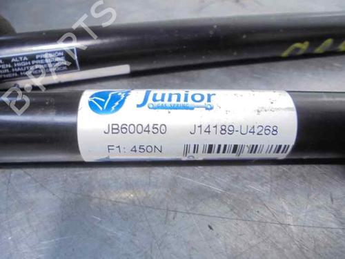Tailgate lift support ROVER 25 I Hatchback (RF) 1.4 16V | BP20250936C138 